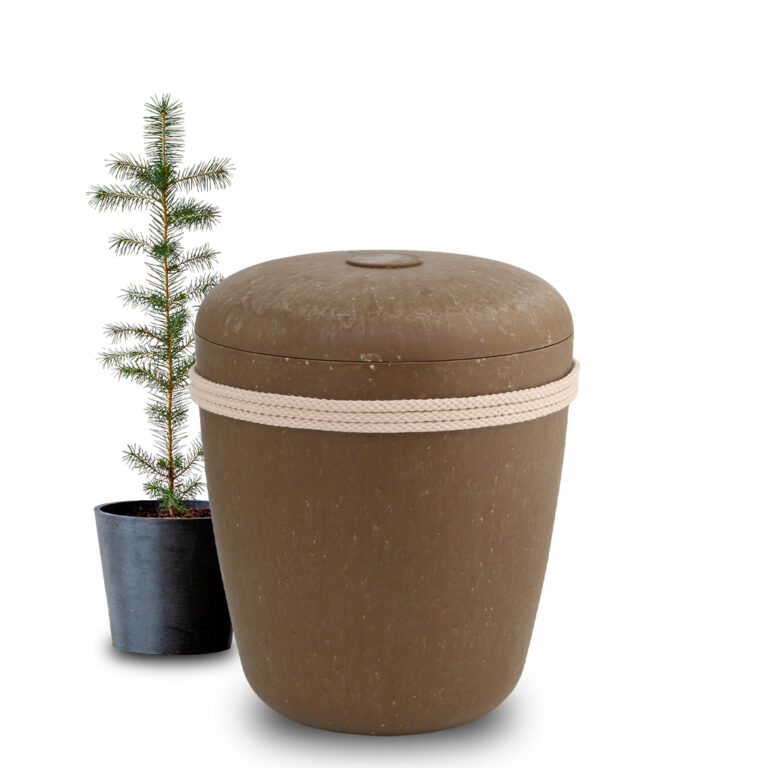 Puukuidusta valmistettu ruskea uurna ja puun taimi